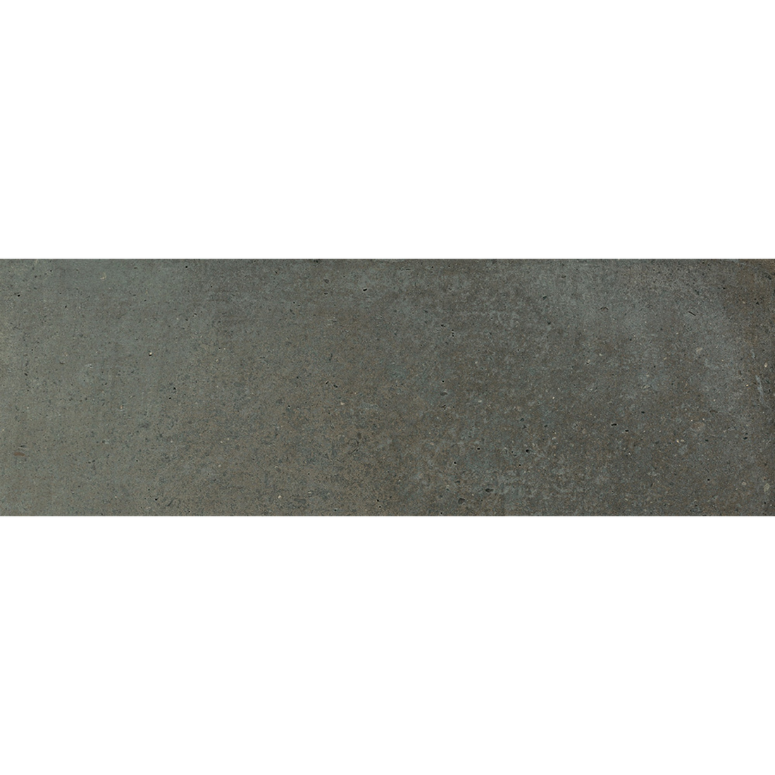 Tallowwood Lichen Matt 75x300 tile