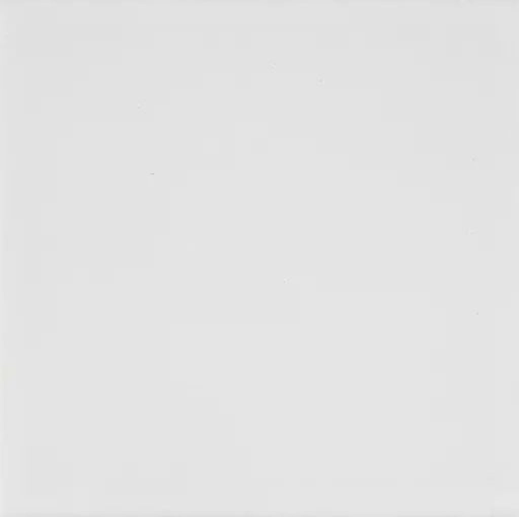 Bega White Cushion Edge Matt 100x100 tile