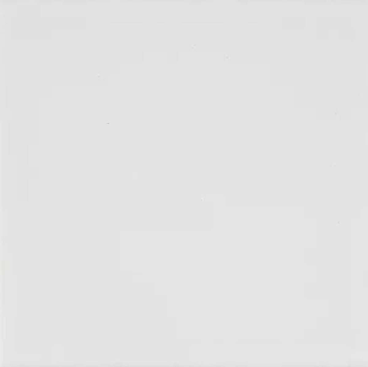 Bega White Cushion Edge Matt 100x100 tile