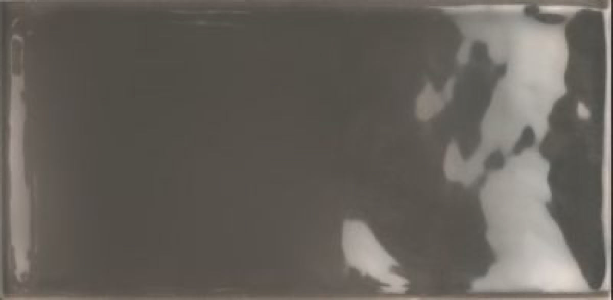 Grafite Charcoal Gloss 75x150 tile