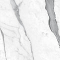Banksia Scribbly Gum Matt 300x300, tiles laid together