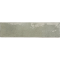Blocchi Eucalypt Gloss 60x246 tiles