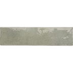 Blocchi Eucalypt Gloss 60x246 tiles