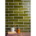 Bunya Canopy Gloss 60x227 tile