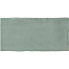 Heritage Eucalypt Gloss 75x150 tiles