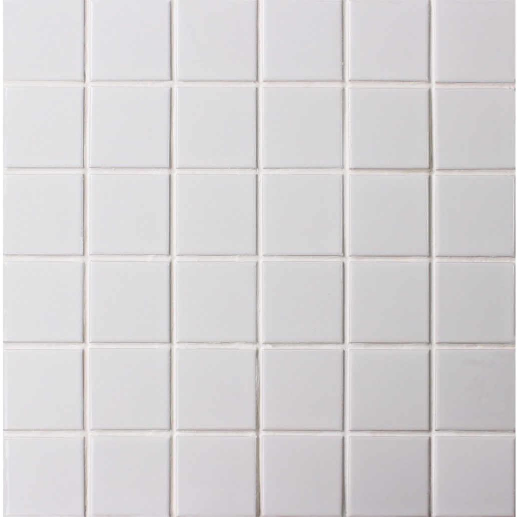 Ironbark Saltpan Pool Mosaic Gloss 48x48
