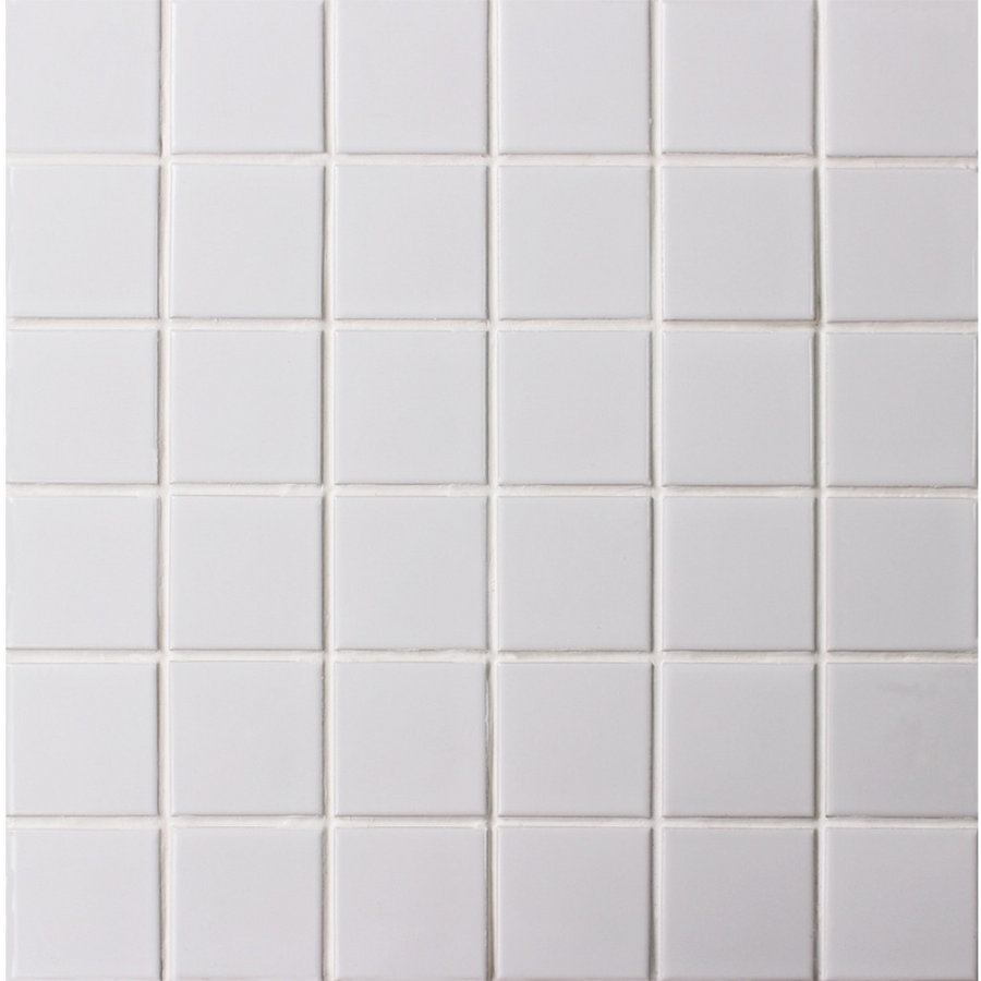 Ironbark Saltpan Pool Mosaic Gloss 48x48