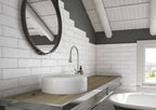 Jamieson Paper Daisy Matt 75x300 tiles