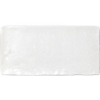 Melaleuca Paper Daisy Matt 75x150 tile
