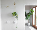 Saltbush Cirrus Hexagon Mosaic Matt 25x25 tile