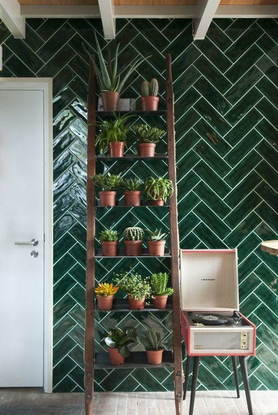 Scatto Pine Gully Gloss 75x150 tiles in a room