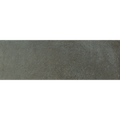 Tallowwood Lichen Matt 75x300 tile