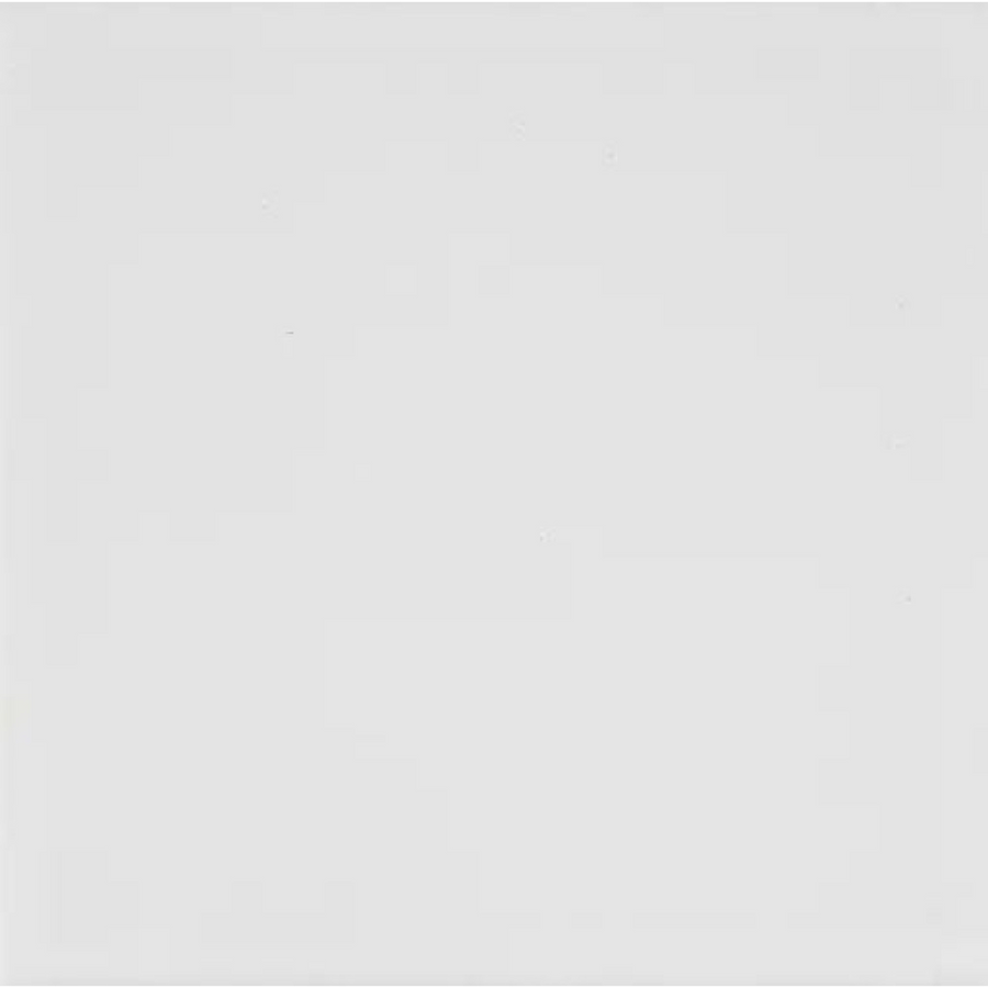 Waratah Whitecap Cushion Edge Matt 100x100