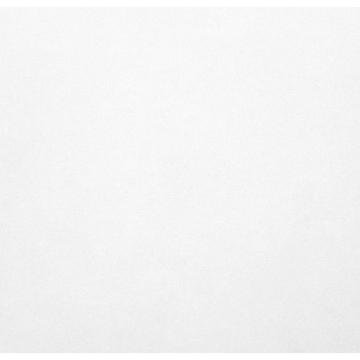 Waratah Whitecap Matt 200x200 tile