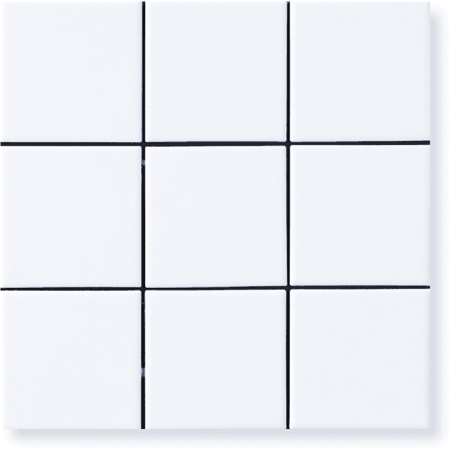 Waratah Whitecap Mosaic Matt 97x97