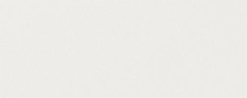 Sherwood White Matt 75x300 tile